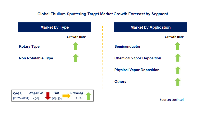 Thulium Sputtering Target Market by Segment