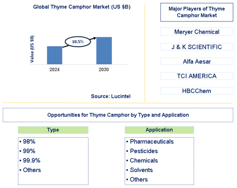 Thyme Camphor Trends and Forecast