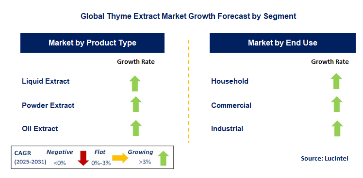 Thyme Extract Market by Segment