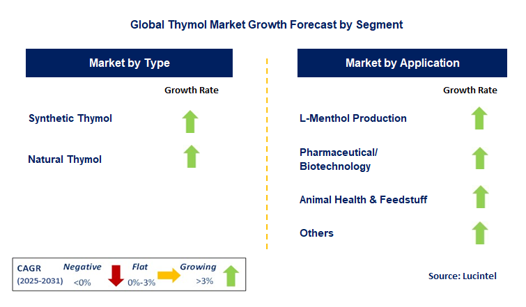 Thymol Market by Segment