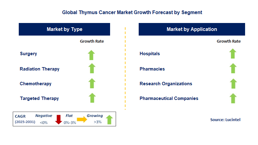 Thymus Cancer Market by Segment