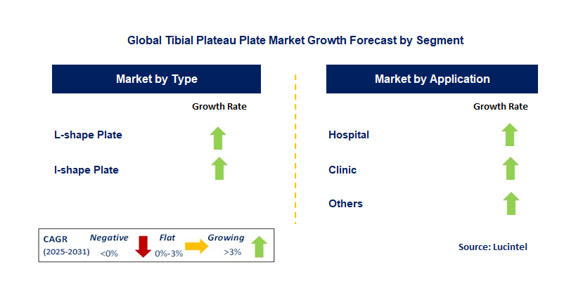 Tibial Plateau Plate Market by Segment