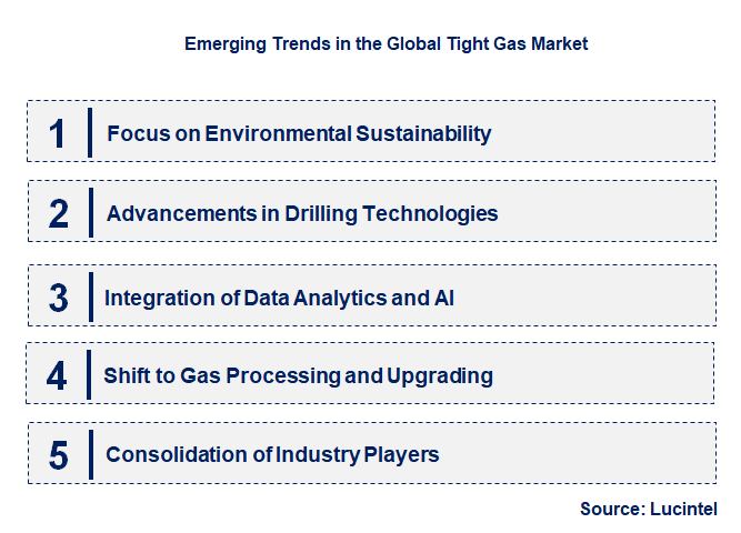 Emerging Trends in the Tight Gas Market