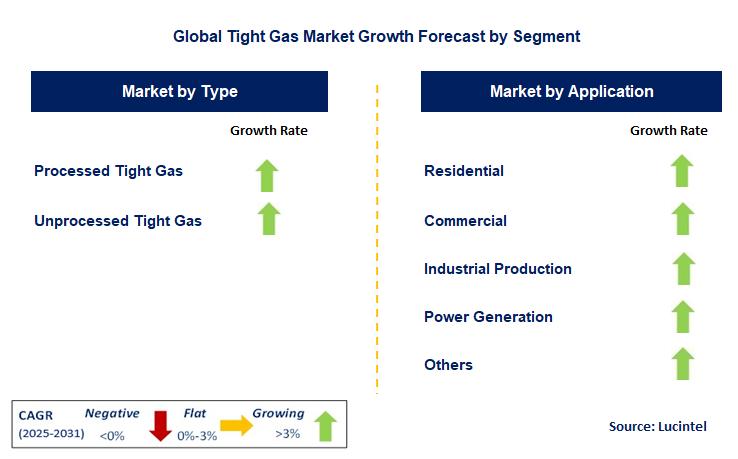 Tight Gas Market by Segment