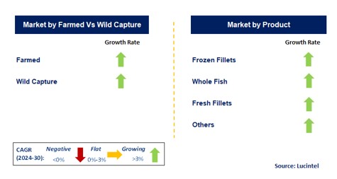 Tilapia by Segment