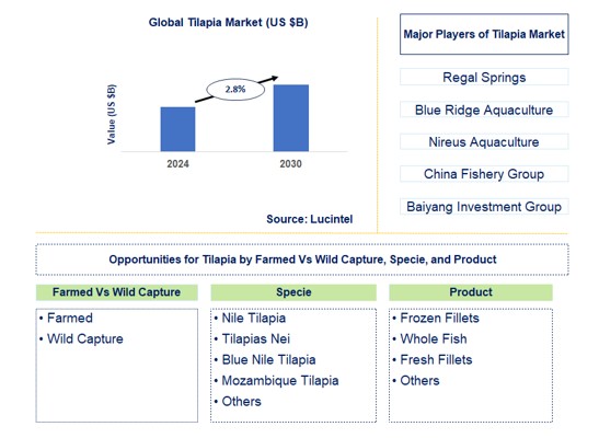 Tilapia Trends and Forecast