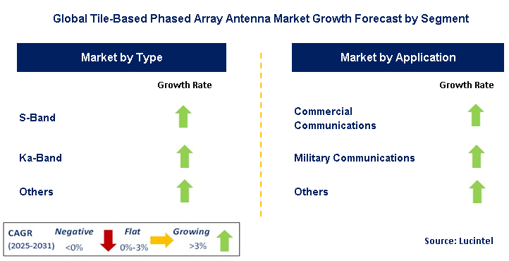 Tile-Based Phased Array Antenna Market by Segment