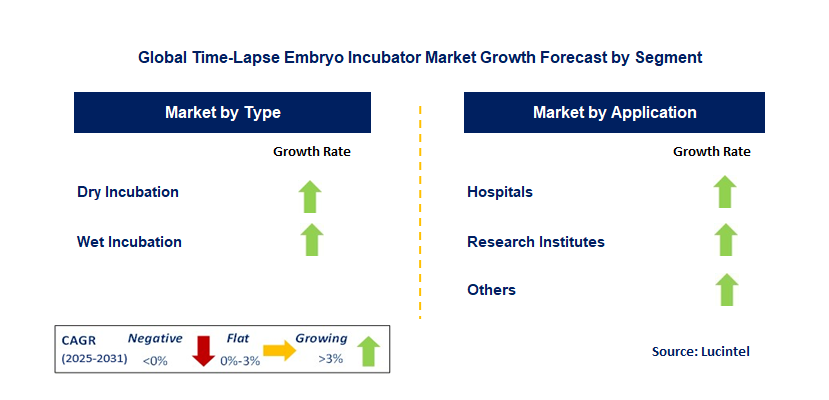 Time-Lapse Embryo Incubator Market by Segment