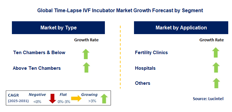 Time-Lapse IVF Incubator Market by Segment