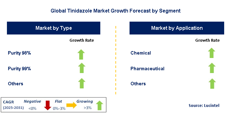 Tinidazole Market by Segment
