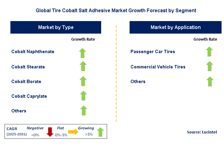 Tire Cobalt Salt Adhesive Market by Segment
