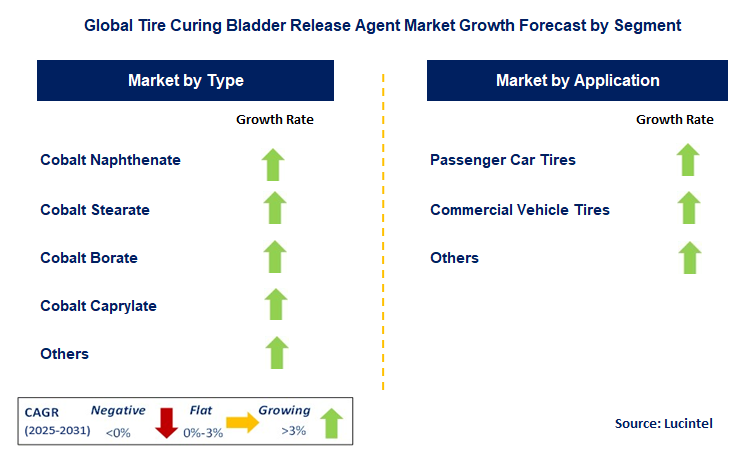 Tire Curing Bladder Release Agent Market by Segment