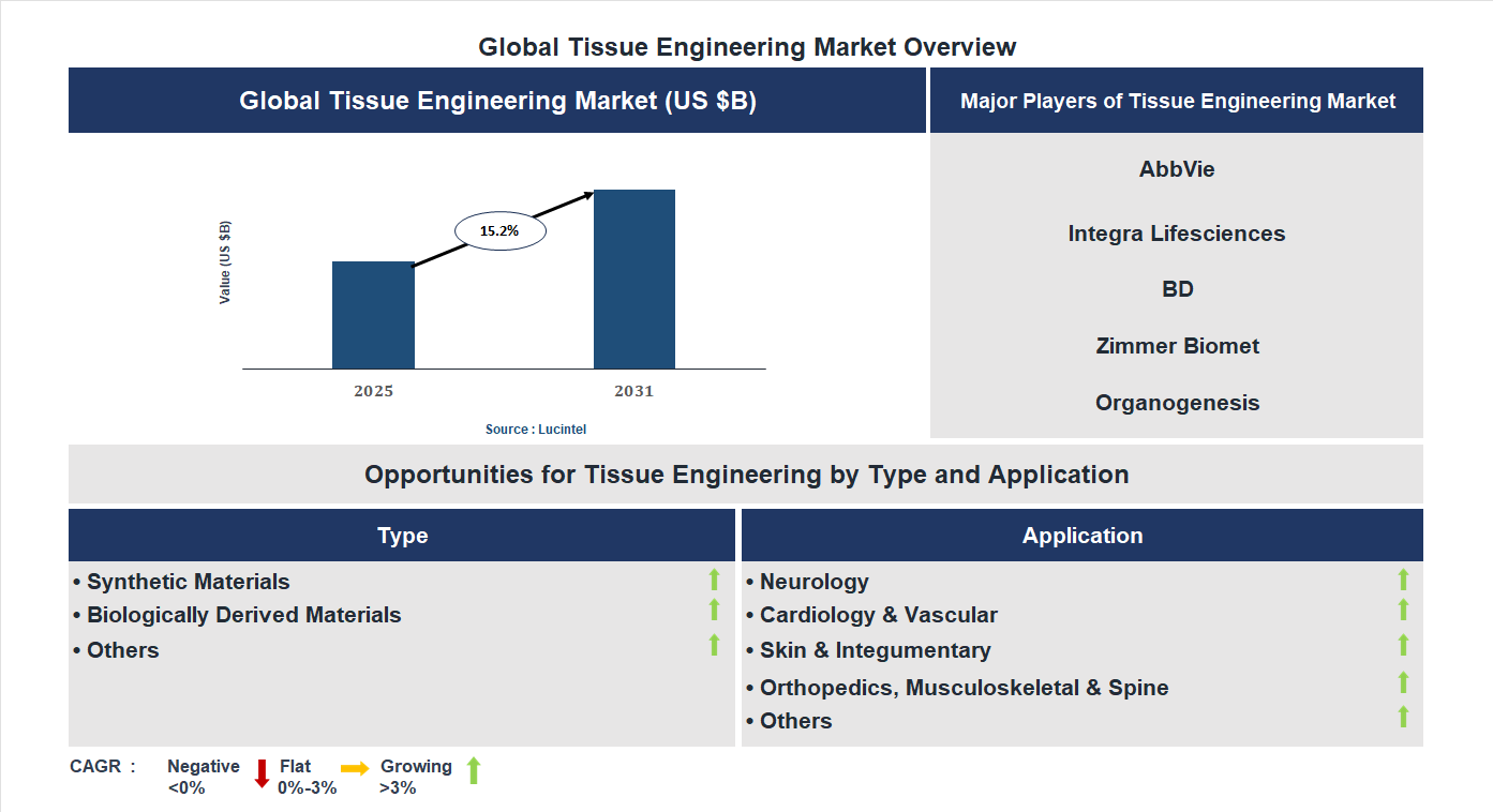 Tissue Engineering Market Trends and Forecast