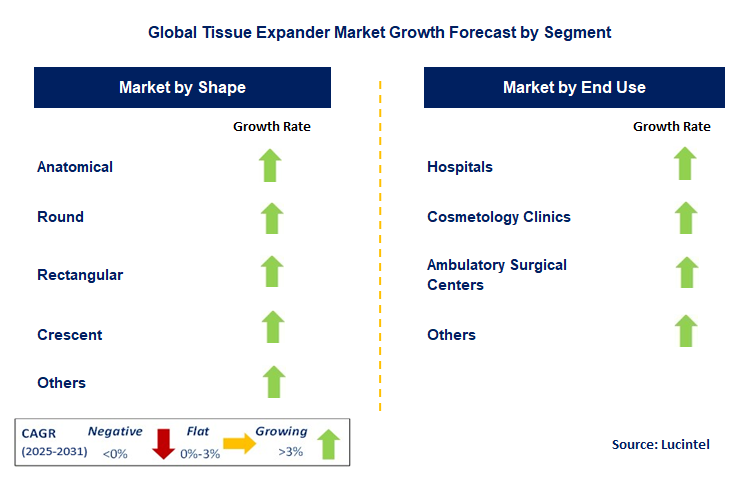 Tissue Expander Market by Segment