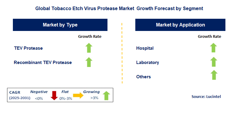 Tobacco Etch Virus Protease Market by Segment