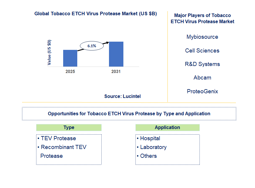 Tobacco Etch Virus Protease Market Trends and Forecast