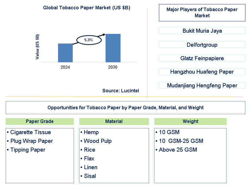 Tobacco Paper Trends and Forecast