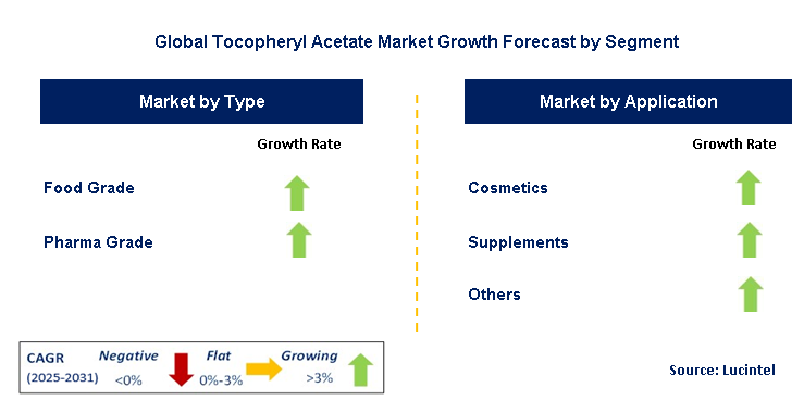Tocopheryl Acetate Market by Segment