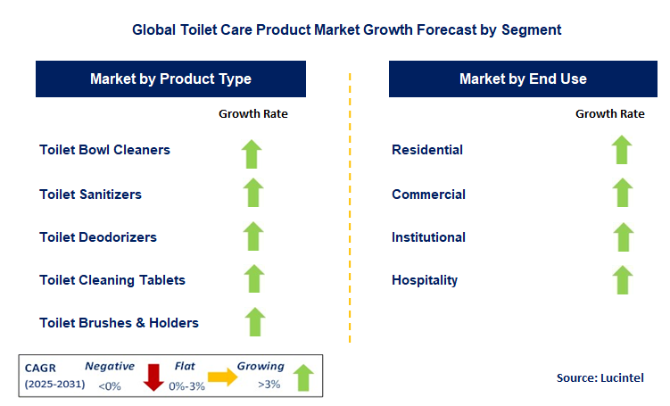 Toilet Care Product Market by Segment