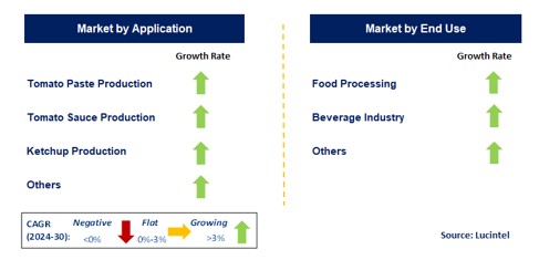 Tomato Processing Machine by Segment