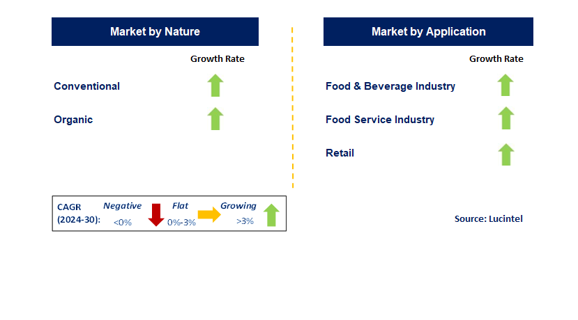 Tomato Puree by Segment