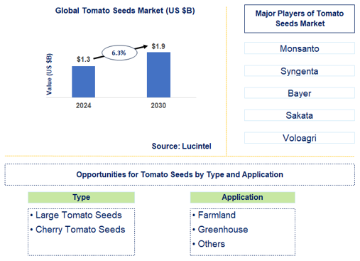 Tomato Seeds Market Trends and Forecast