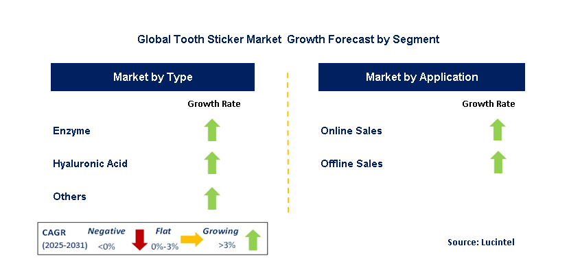 Tooth Sticker  Market by Segment