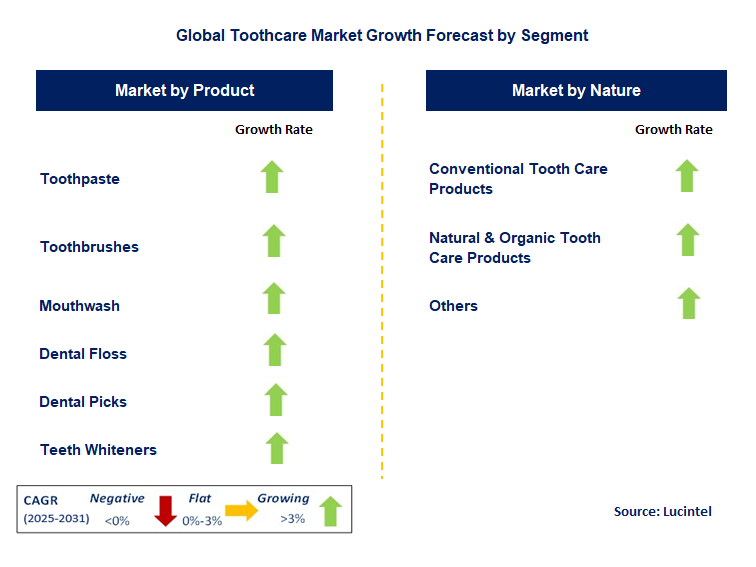 Toothcare Market by Segment