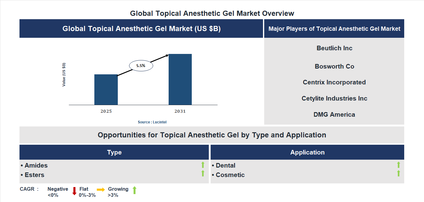 Topical Anesthetic Gel Market Trends and Forecast Topical Anesthetic Gel Market Trends and Forecast