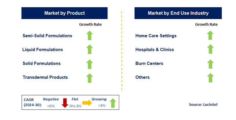 Topical Drug Delivery by Segment