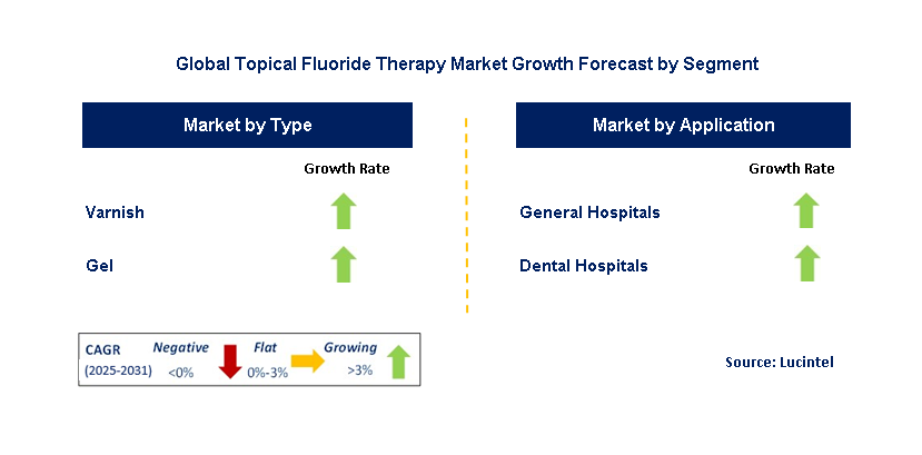 Topical Fluoride Therapy Market by Segment