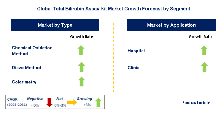 Total Bilirubin Assay Kit Market by Segment
