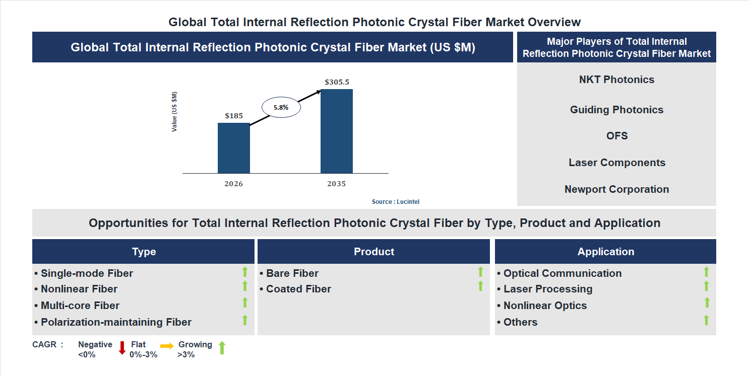 Total Internal Reflection Photonic Crystal Fiber Market Trends and Forecast