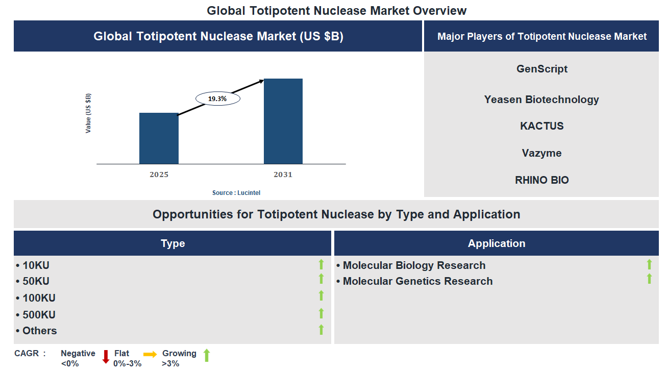 Totipotent Nuclease Market Trends and Forecast