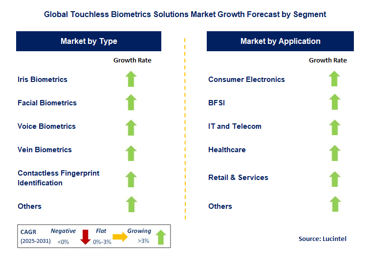 Touchless Biometrics Solutions Market by Segment
