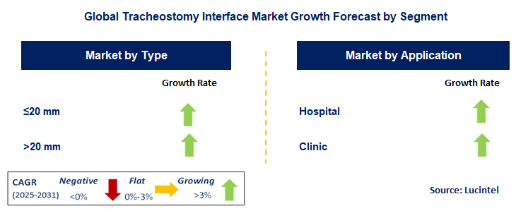 Tracheostomy Interface Market by Segment