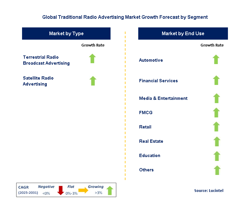 Traditional Radio Advertising Market by Segment