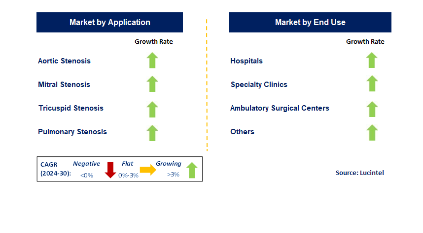 Transcatheter Valve Repair System by Segment