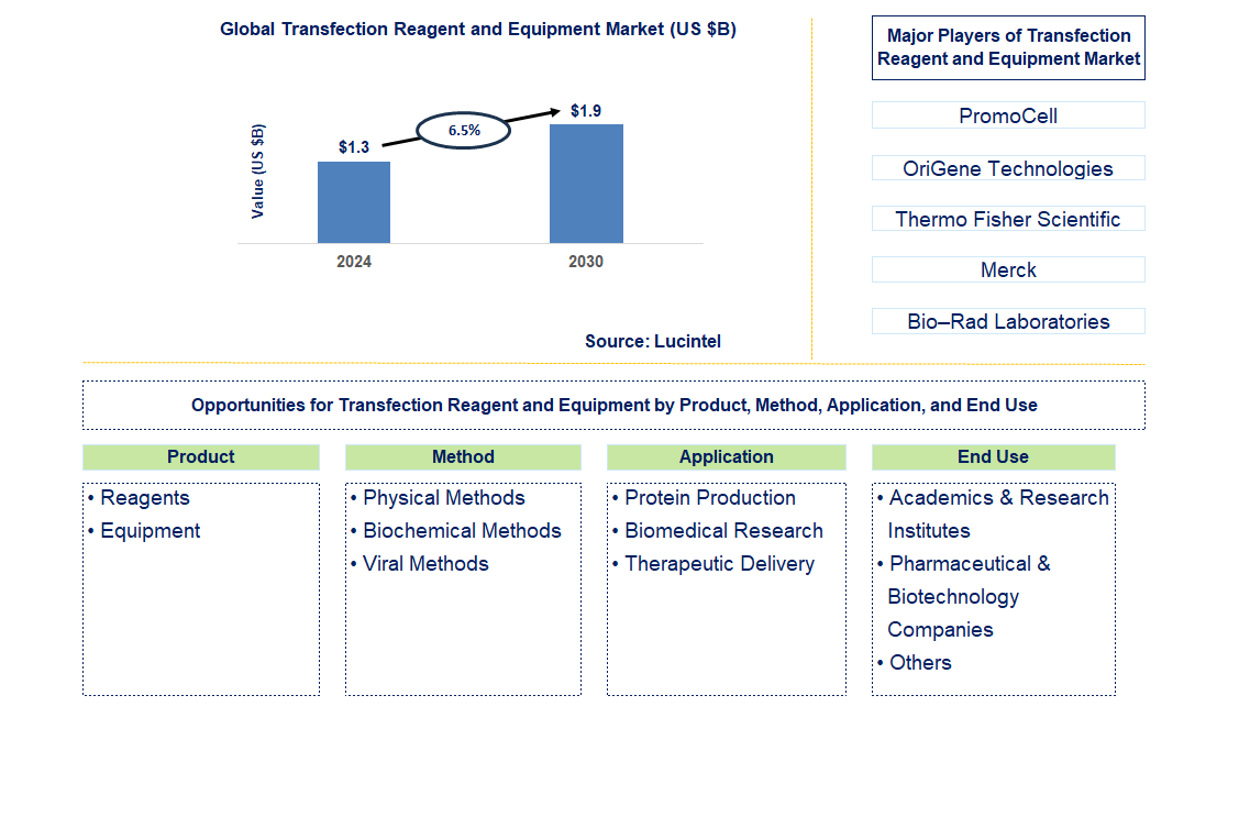 Transfection Reagent and Equipment Trends and Forecast