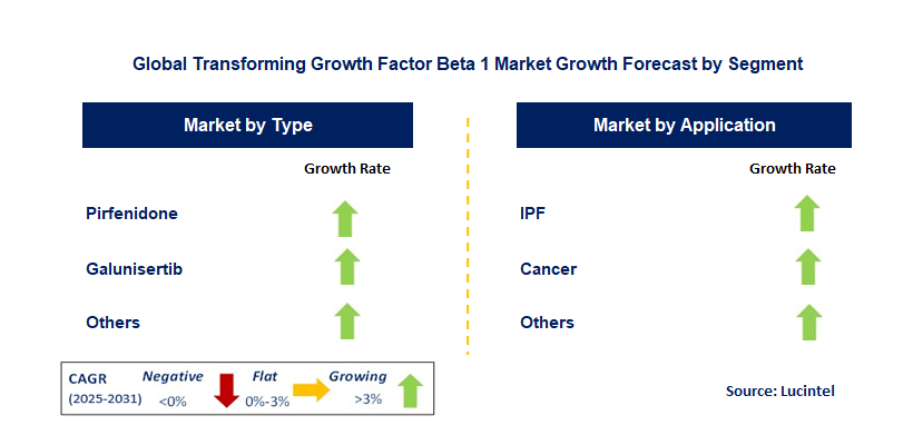 Transforming Growth Factor Beta 1 Market by Segment
