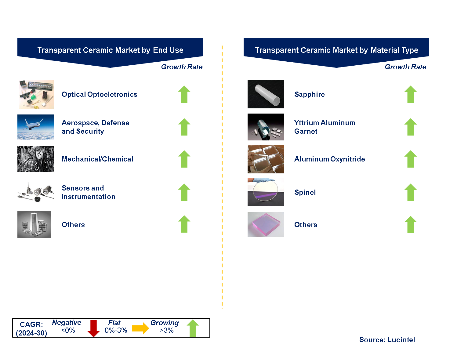 Transparent Ceramic Market by Segments