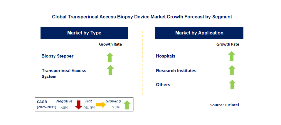Transperineal Access Biopsy Device Market by Segment