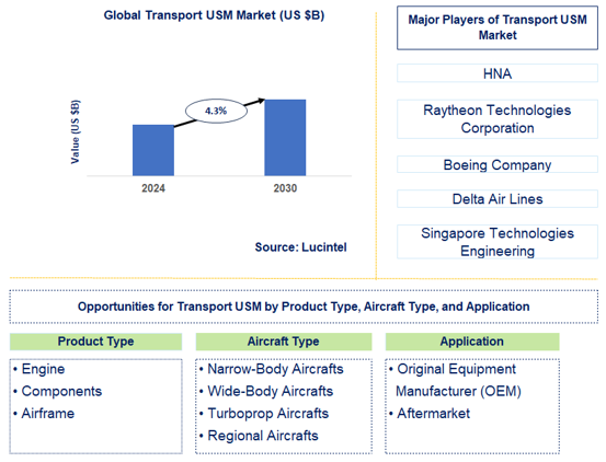 Transport USM Market Trends and Forecast