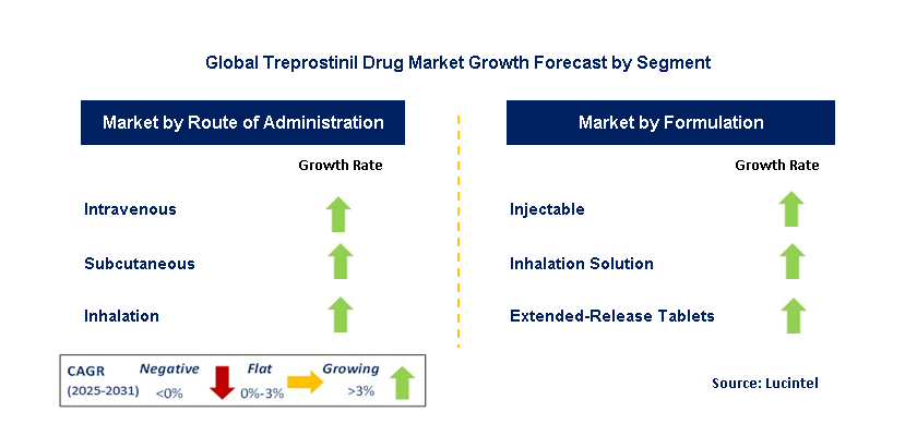 Treprostinil Drug Market by Segment