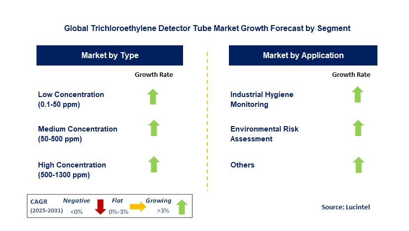Trichloroethylene Detector Tube Market by Segment
