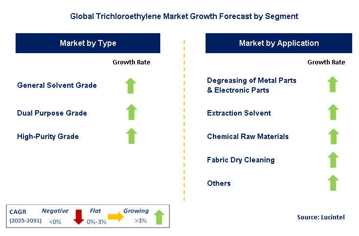 Trichloroethylene Market by Segment