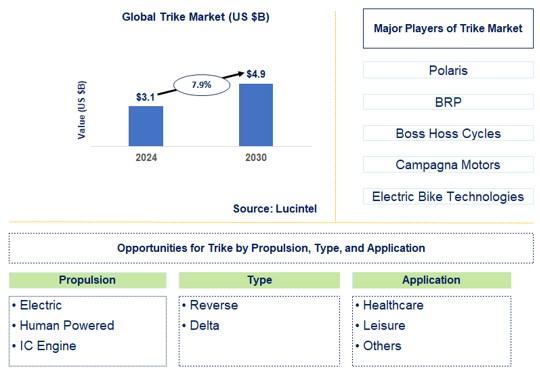 Trike Trends and Forecast