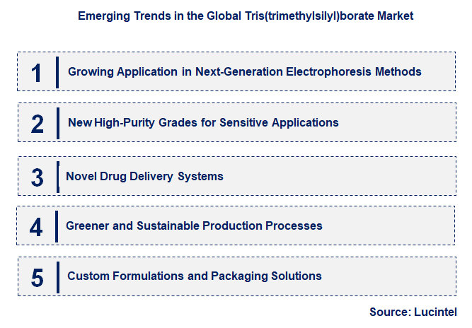 Emerging Trends in the Tris(trimethylsilyl)borate Market