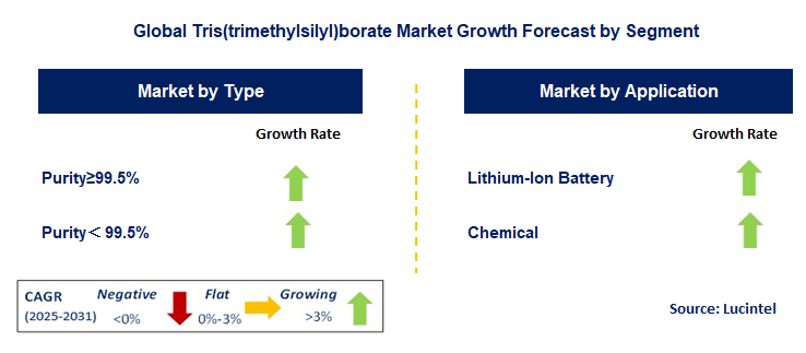 Tris(trimethylsilyl)borate Market by Segment