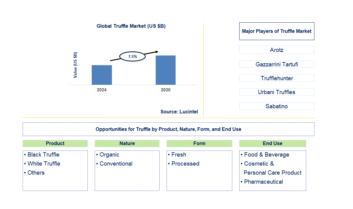 Truffle Trends and Forecast